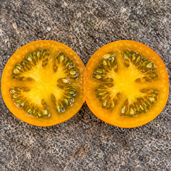 66 Dwarf Soul Patch Tomato, 5 Seeds