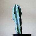 Myrtillocactus geometrizans, 7-10cm