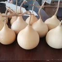 Apple-shaped Gourd Seeds, 10 Seeds