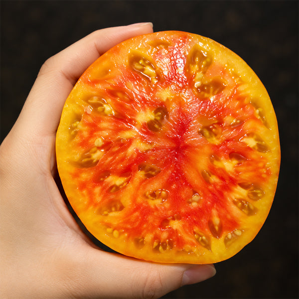 155 Williams'Striped Tomato, 5 Seeds