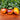 497 Purple Sunrise Tomato, 5 Seeds