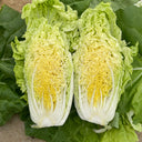 'Jiaoyan Guifei' Baby Cabbage Seeds, 10g