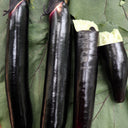 'Heiguiren' Long Eggplant Seeds, 50 Seeds