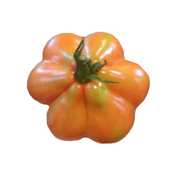 CORAZON Fleshy Tomato Seeds, 10 Seeds