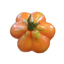 CORAZON Fleshy Tomato Seeds, 10 Seeds