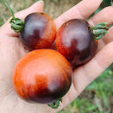 946 Tsukuyomi Special Leaf Tomato, 5 Seeds