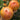 1108 Pineapple Stripe Tomato, 5 Seeds
