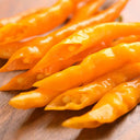'Yellow La Mei' Long Chili Pepper Seeds, 2g