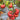 878 Giant Butler Skinner Tomato, 5 Seeds