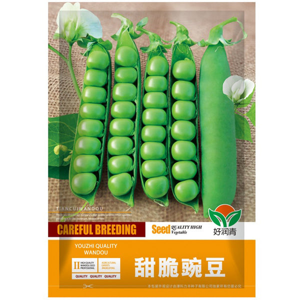 Edible Green Pea Seeds, 5 x 20g Bags