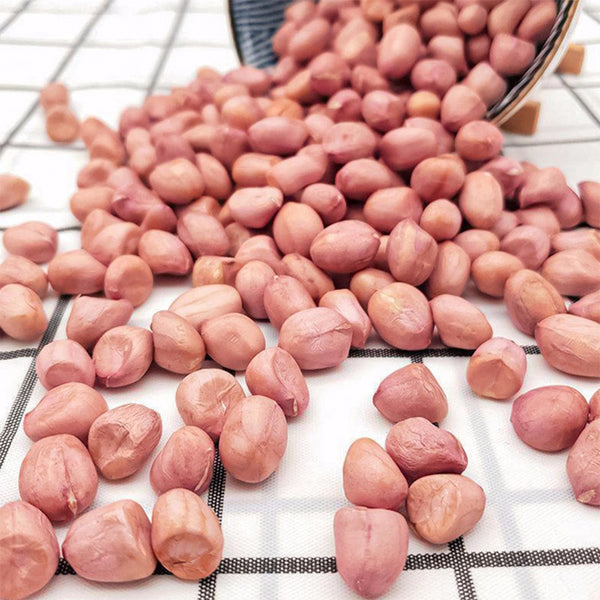 Lushou Peanut Seeds, 20 Seeds