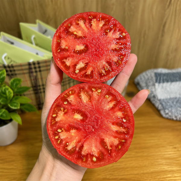 2 George Washington Tomato, 5 Seeds