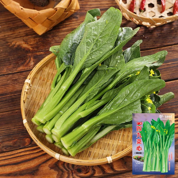 Guangdong Sijiu Choy Sum Seeds, 20g