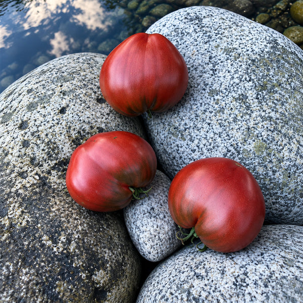 177 Dwarf Purple Heart Tomato, 5 Seeds