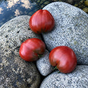 177 Dwarf Purple Heart Tomato, 5 Seeds