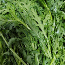 Heat Resistant Garland Chrysanthemum Seeds, 20 Grams ≈ 2000 Seeds