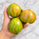 1143 Rainbow Veselka Tomato, 5 Seeds