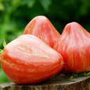 616 Long Tall Sally Tomato, 5 Seeds