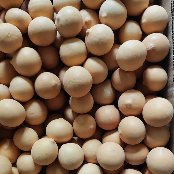 Egg Gourd, 10 Seeds