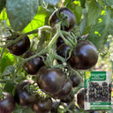 Obsidian Tomato, 20-30 Seeds