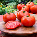Venice F1-199 Tomato, 5 Seeds