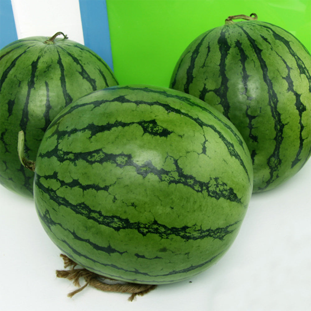 'Kylin Ice Cream' Watermelon Seeds