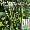Jiemei Xiabao No. 2 Cowpea Seeds, 20g