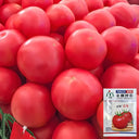 Jinpeng No.3 Tomato F1 Seeds, 5g