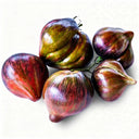 Cosmic Heart Rebel Space Warrior Tomato, 5 Seeds