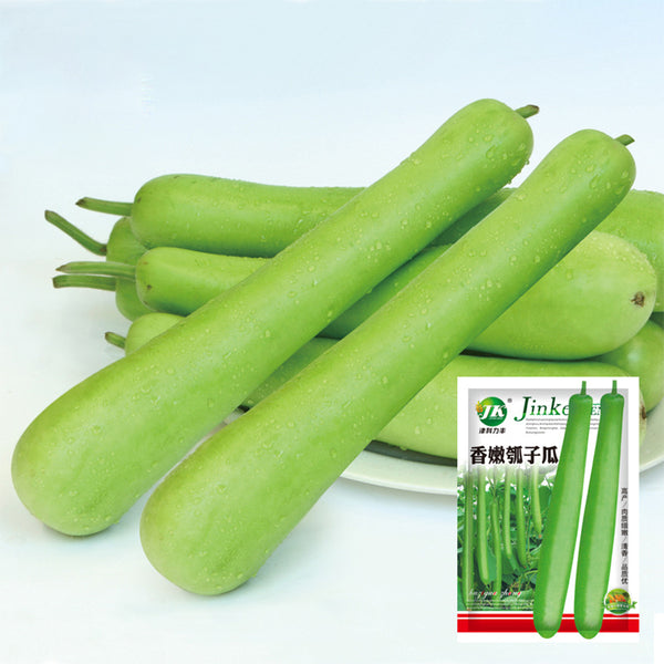 Bottle Gourd Seeds, 3g Per Bag