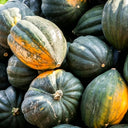 Acorn Squash, 5 Seeds