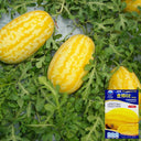'Jinshuai 02 Golden Robe' Watermelon Seeds, 200 Seeds