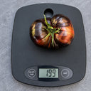 114 Marsha's Starfighter Beefsteak Tomato, 5 Seeds