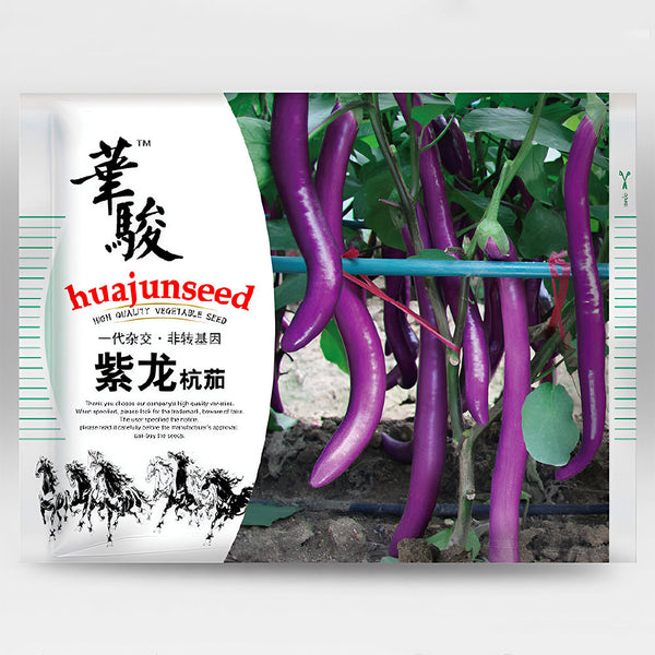 'Purple Dragon' Hangzhou Eggplant Seeds