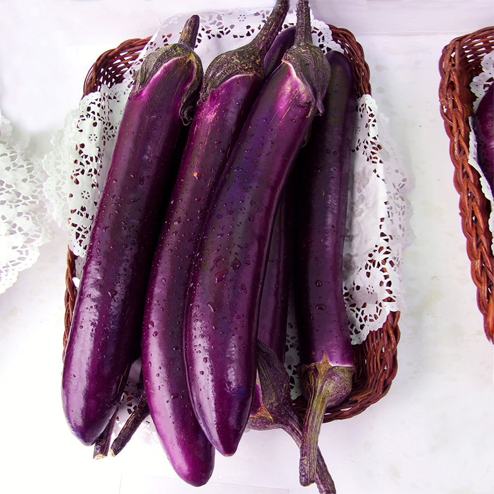 'Purple Dragon' Long Eggplant Seeds