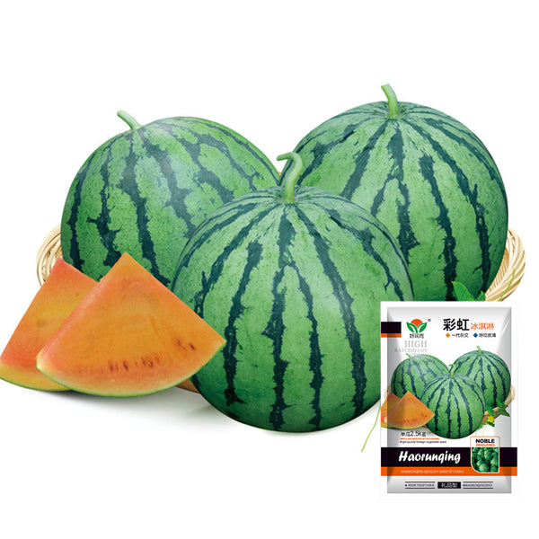 'Rainbow Ice Cream' Watermelon Seeds