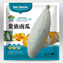 Noble Pumpkin Hybrid Seeds