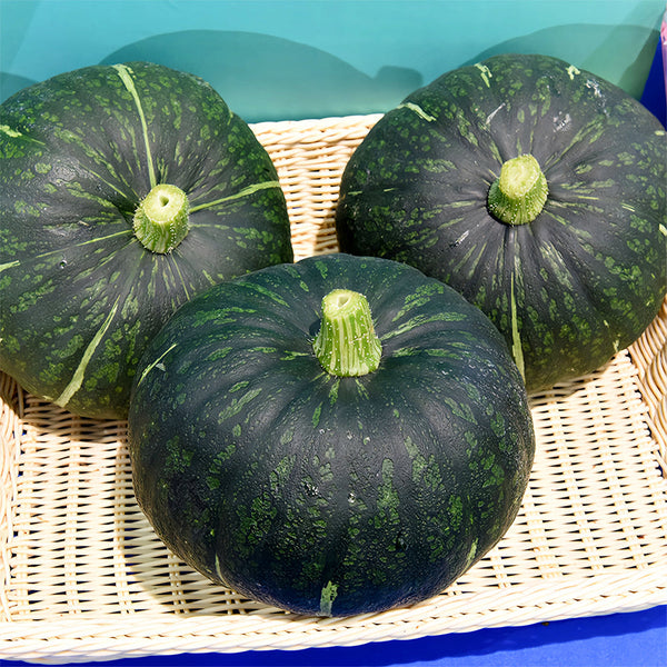 'Green Baby' Small Pumpkin Seeds