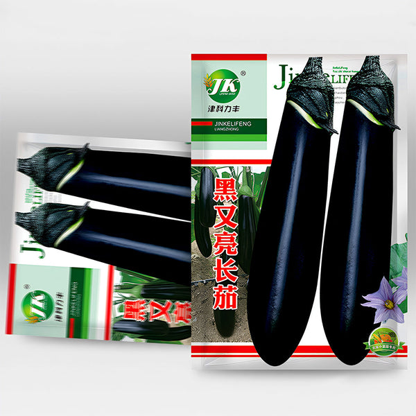 'Glossy Black' Long Eggplant Seeds