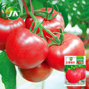 'Vintage Elegance' Red-Pink Tomato Seeds