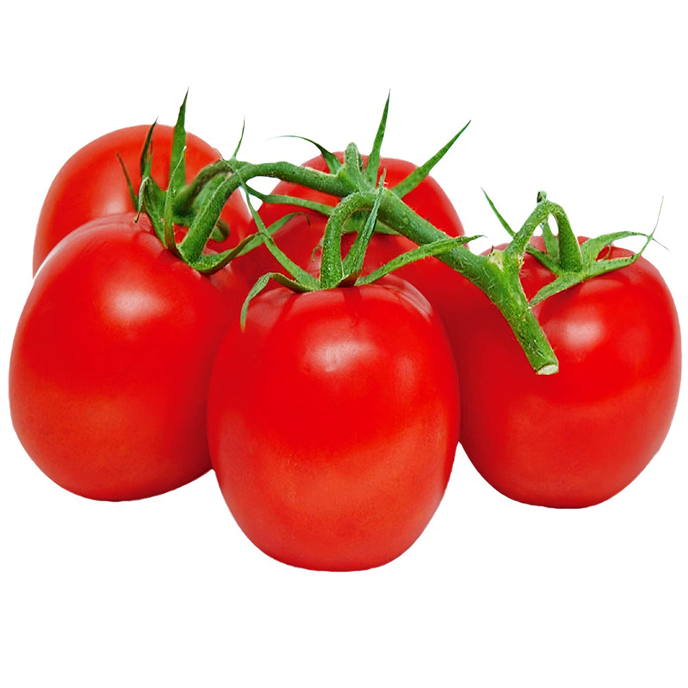 Top-Performing Salad Tomato