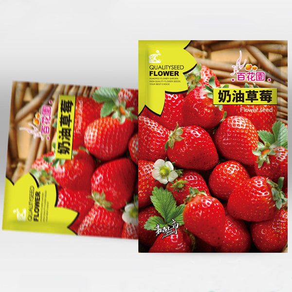 red diamond strawberry seeds Akihime' Series Red Strawberry Seeds – SeedChoiceX