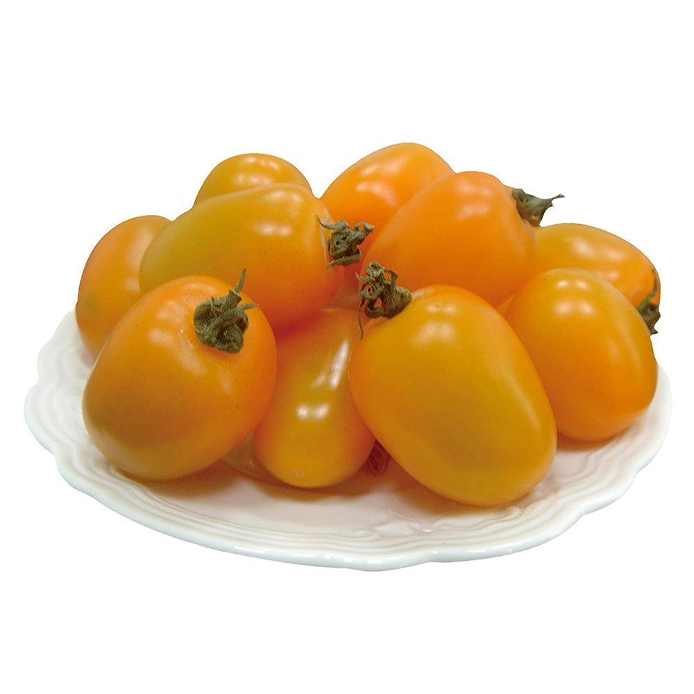 'Yellow Saint' Cherry Tomato