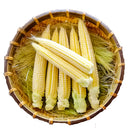 F1 Sweet Baby Corn Seeds, Pkt of 50