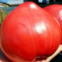 820 Strawberry Heavyweight Tomato, 5 Seeds