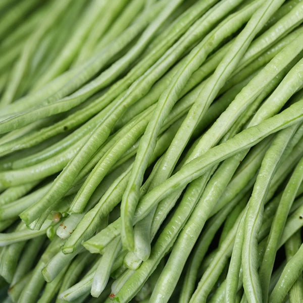 Fengchan 168 Yardlong Bean Seeds, 20g
