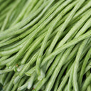 Fengchan 168 Yardlong Bean Seeds, 20g