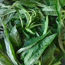 Willow-Leaf White Amaranth Seeds, 250g