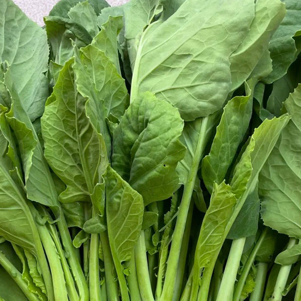 Jiemei Taoshan Chinese Broccoli Seeds, 10g