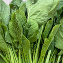 Jiemei Taoshan Chinese Broccoli Seeds, 10g